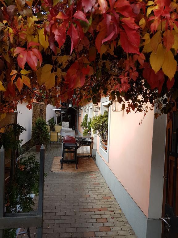 Alex Pension Πρέσοβ Εξωτερικό φωτογραφία